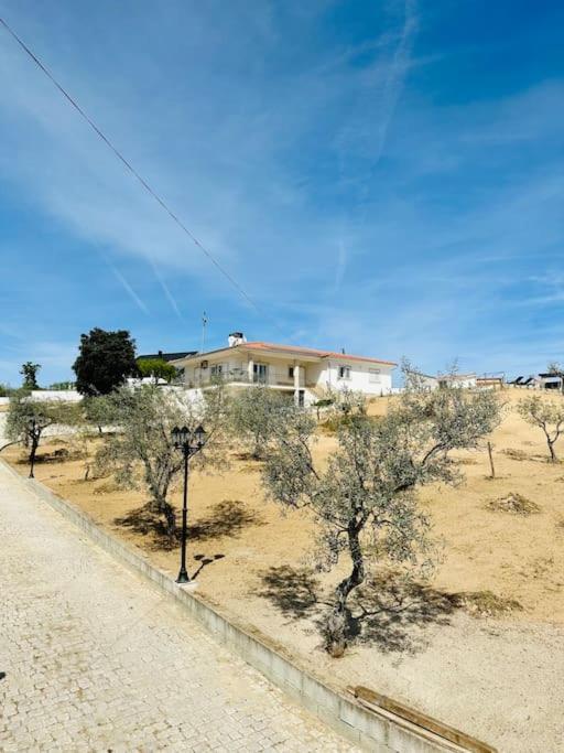 Reis House Villa Torre de Dona Chama Ngoại thất bức ảnh